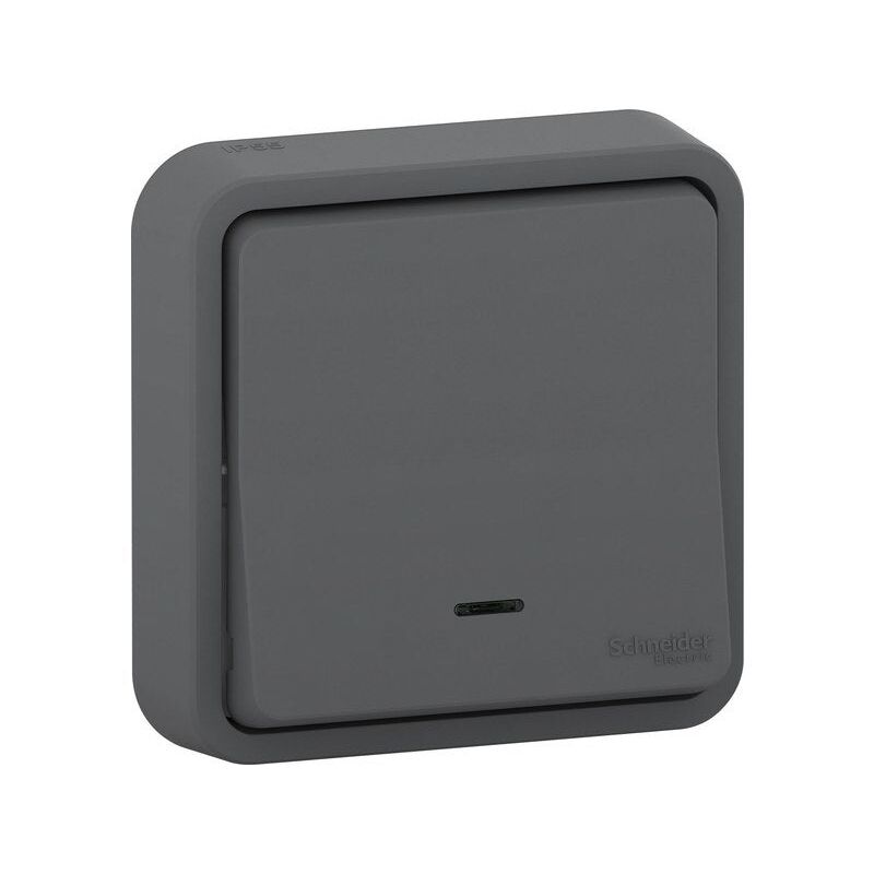 Presa Incassata Stagna Mureva Styl – Antracite – Schneider Electric – IP55 IK08 Con LED