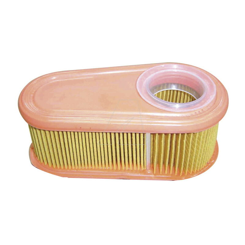 Filtro Dell aria Compatibile Briggs Stratton Sostituisce 795066 Arnold filtro-dell-aria-compatibile-briggs-stratton-sostituisce-795066-arnold