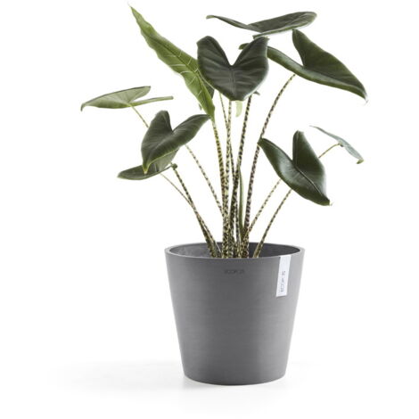 Vaso Per Piante E Fiori AMSTERDAM ECOPOT'S In Polipropilene Grigio Chiaro H 7 Cm 8 Cm 83737640