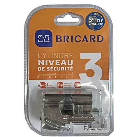 Cilindro serratura frizionabile BRICARD Astral L.30 + 40 mm BRICARD (1/4)
