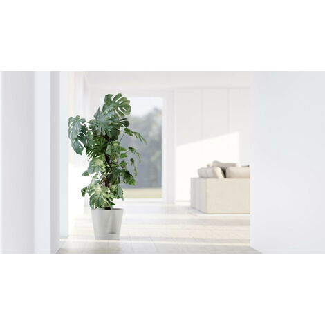 Fiori In Plastica Colorata 1 - Dall'album Di Maria65 - Foto 9