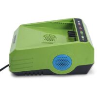 Caricabatterie agli ioni di litio da 2,5 Ah, 220 V, doppia ventola Warrior Eco Power