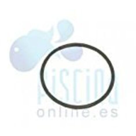 O-ring coperchio prefiltro pompa piscina Alaska - Sena D. 118x4