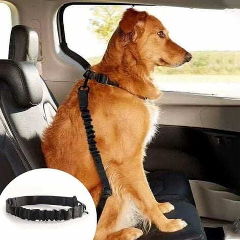 Cinturón de seguridad de coche para perros, cinturón de seguridad de coche  universal para perros, cinturón