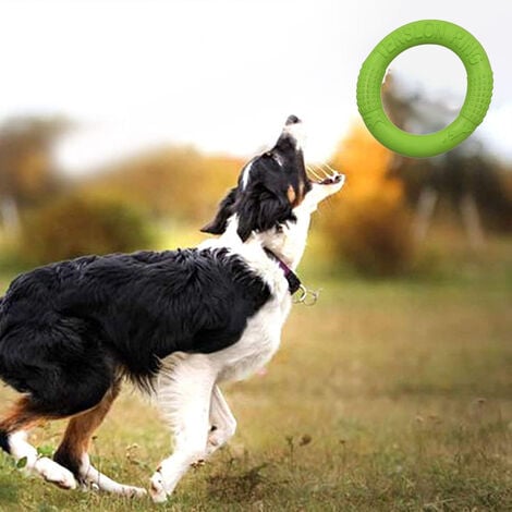 Entrenamiento y deporte con perros: el disc dog