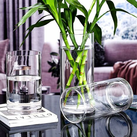 Jarrón Cristal Transparente Alto 26 cm. Floreros Decorativos Moderno y  Elegante, Flores Decoración 26x7 cm