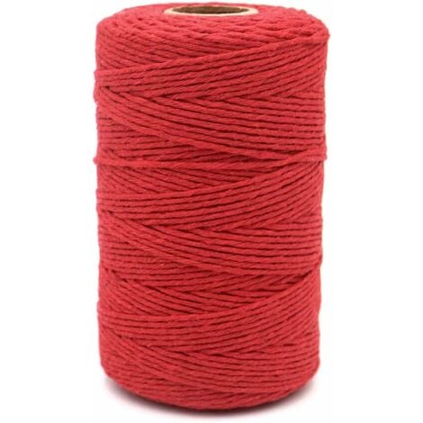 Cuerda de macramé - 3 mm x 100 m - Hilo de algodón natural para colgar en  la pared, regalos de decoración del hogar, decoración bohemia (rojo) JM