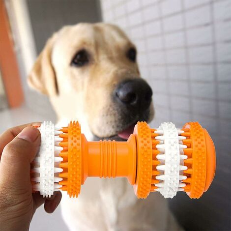 Juguete Mordedor Dental Hueso de Goma para Perros Medianos Naranja