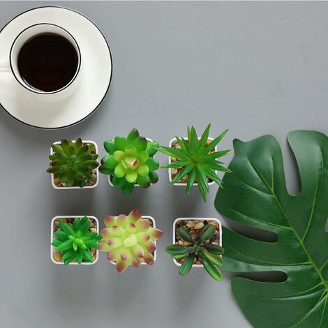 Plantas suculentas artificiales Juego de 16 piezas de suculentas