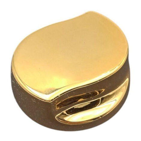 Ricambio manopola aria oro per vasca Jacuzzi 23327001 (1/2)