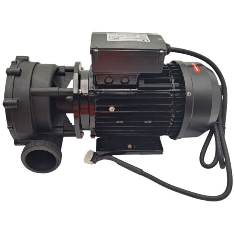 Ricambio pompa WP250 2V 220/240V 50HZ spa Jacuzzi 930108654 (1/4)