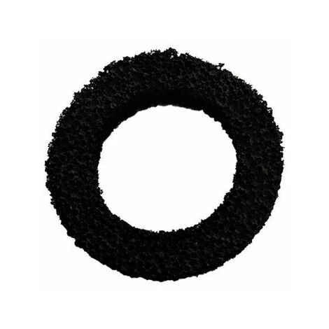 Ricambio filtro a carbone per Watersan vecchio modello SFA WSAN9