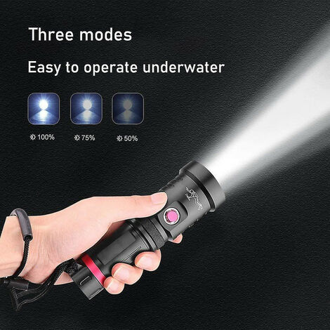 Lampe torche avec 12 LED UV ondes longues