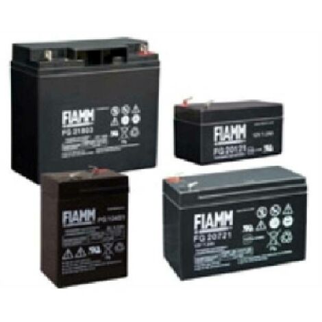 FIAMM FG20721 Loodaccu 12Volt 7.2Ah