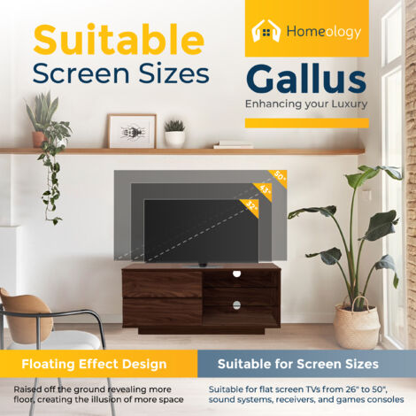 Homeology Gallus Premium Walnut with 2-Walnut Drawers & 3-Shelves 32"-55" LED/OLED/LCD TV Cabinet
