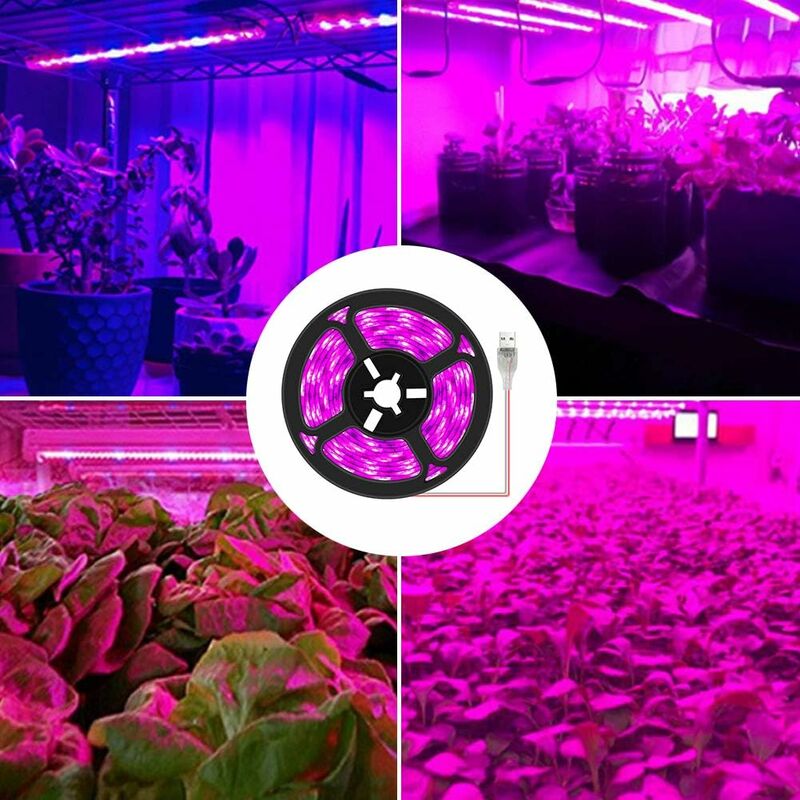 Indoor led deals grow lights