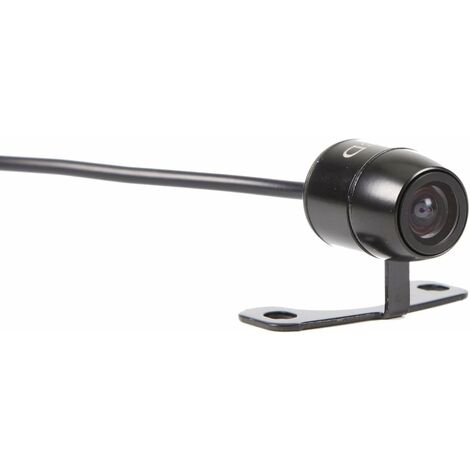 Rear view store mirror surveillance camera