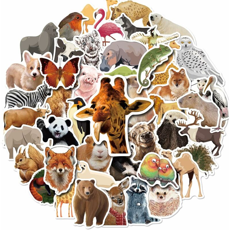 50 Tier Foto Aufkleber für Kinder und Studenten, um die echte