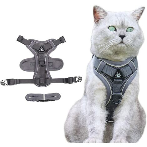 Hundegeschirr und Leine für kleine und mittelgroße Katzen - Verstellbares  Weste mit elastischem Riemen (Grau, S)