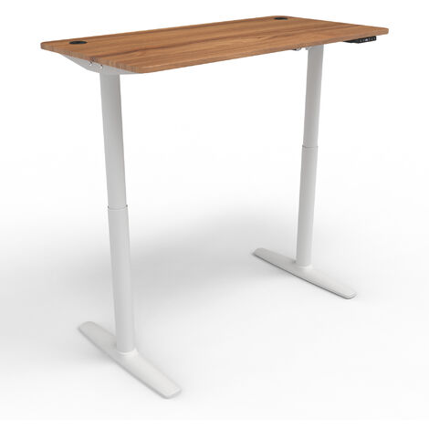 pro.tec Escritorio Regulable en Altura Mesa Elevable Eléctrica con Memoria  y Indicador de Altura Diseño Ergonómico Modo Activo Aglomerado y Metal  (LxAn) 120 x 60 - Efecto Roble : : Hogar y cocina