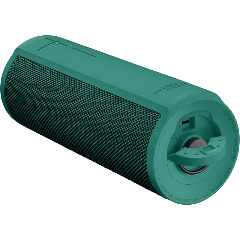 2in1 Kinder Mikrofon Bluetooth 5.0 Lautsprecher Grün