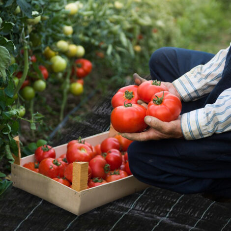 20m X 1,5m Unkrautvlies Gartenvlies Bodengewebe Unkrautfolie - Foto 9