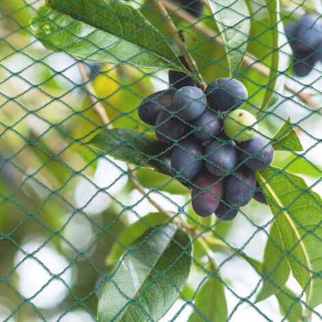 15*15M~Vogelschutznetz Teichnetz Obstbaumnetz Schutznetz Viele