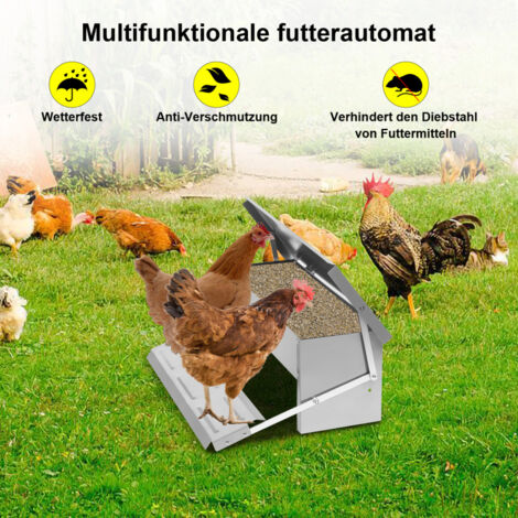 Automatischer Hühnerfutterspender 4,5 Kg – Sparsam & Wetterfest Für Hühnerstall