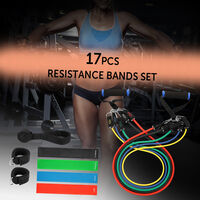 17Pcs Resistance Bands Set Workout Fitness Exercise Rehab Bands Loop Bands Tube Bands Door Anchor Ankle Straps