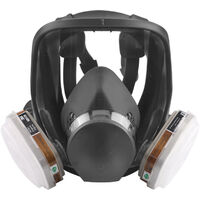 Full face mask reusable, protective spray paint, machine polished, welded (box filter included)