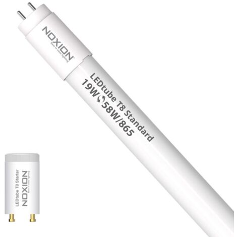 Noxion Tube LED T8 Avant (EM/Direct 230V) Standard Output 19W 2300lm - 865 Lumière Du Jour  150cm - Équivalent 58W