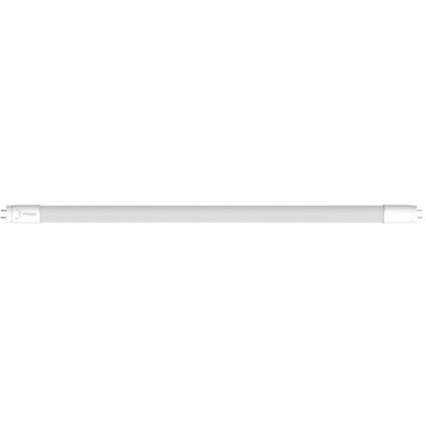 Noxion Tube LED T8 Avant (EM/Direct 230V) Standard Output 19W 2300lm - 865 Lumière Du Jour  150cm - Équivalent 58W