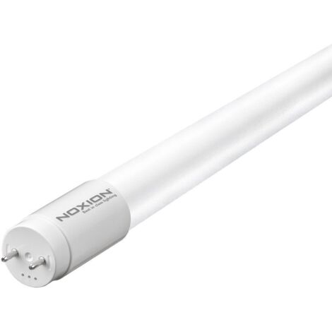 Noxion Tube LED T8 Avant (EM/Direct 230V) Standard Output 19W 2300lm - 865 Lumière Du Jour  150cm - Équivalent 58W