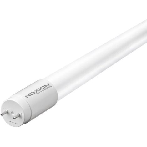 Noxion Tube LED T8 Avant (EM/Direct 230V) Standard Output 7.5W 900lm - 840 Blanc Froid  60cm - Équivalent 18W