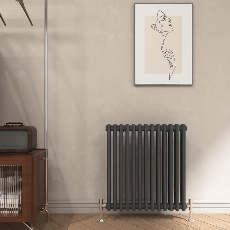 EMKE Traditional Cast Iron Style Anthracite Double Column Horizontal  Radiator, 600x600mm