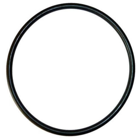 Joint de couvercle filtre à sable 400/500/600 – Étanchéité parfaite – Ajustement précis pour filtres AstralPool – Installation simple