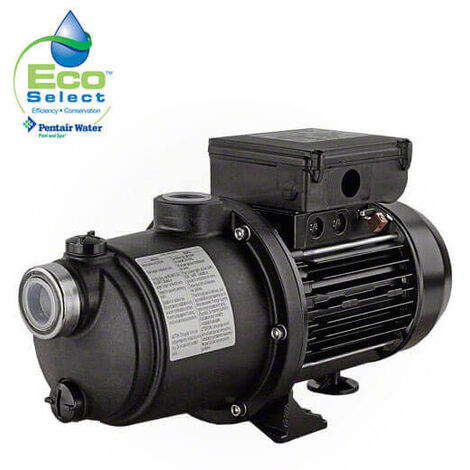 Pentair – Surpresseur de piscine 1,5 cv monophasé – Moteur à 5 turbines pour nettoyage efficace – Débit puissant jusqu'à 7 bars – Corps en polypropylène renforcé