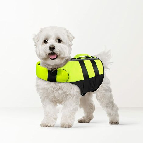 life jacket for maltese dog