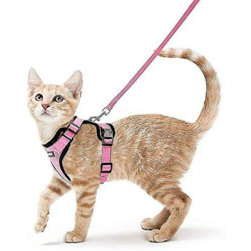 Rabbitgoo Arnés Y Correa Para Gatos Para Caminar, Arneses De Chaleco Ajustables Suaves A Prueba De Escape Para Gatos, Fácil Control,Pequeño,Rosado,11