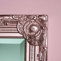 Tall Ornate Rose Gold Pink Mirror 47cm x 142cm - Rose Pink