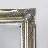 Tall Champagne Wall Mirror - Champagne