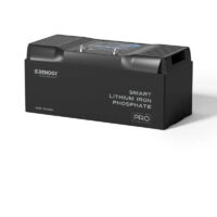 Cargador de Batería DC-DC Renogy 12V 50A de Doble Entrada con MPPT – Cargador Inteligente para Baterías Auxiliares (Plomo, Litio) con Función de Aislamiento para Autocaravanas y Barcos