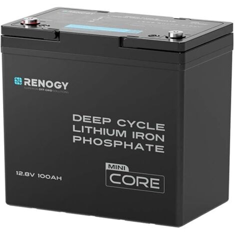 Renogy Batteria al Litio LiFePO4 12V 100Ah Core Mini - Compatta con protezione antigelo