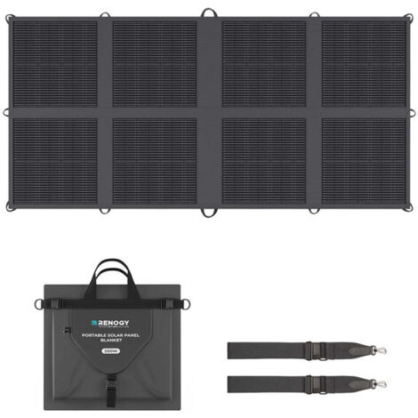 Renogy Pannello Solare Portatile 200W - Pieghevole con Controller USB per Camper, Barche, Tetti, Fattorie e Sistemi Off-Grid