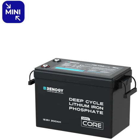 Renogy Batteria al Litio 12V 200Ah - LiFePO4 con BMS per Camper, Barche e Sistemi di Accumulo Solare (Modello M)