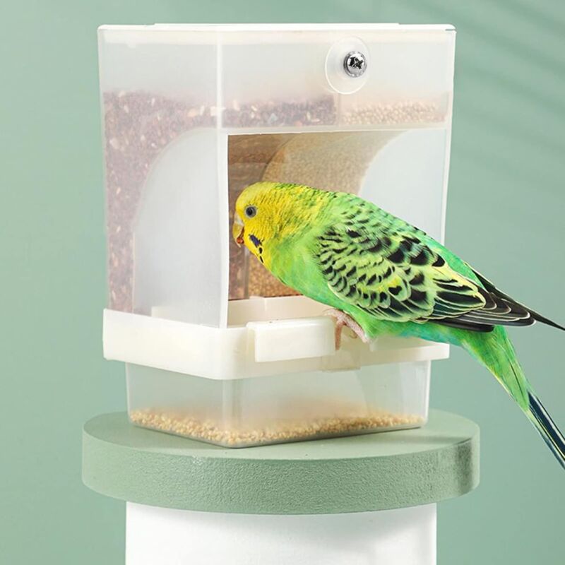 Automatic Bird Feeder Pet Feeder Transparent Large Capacity Automatic Parrot Bird Feeder Cage Accessory for Parakeet Canary Cockatiel Finch Parakeet