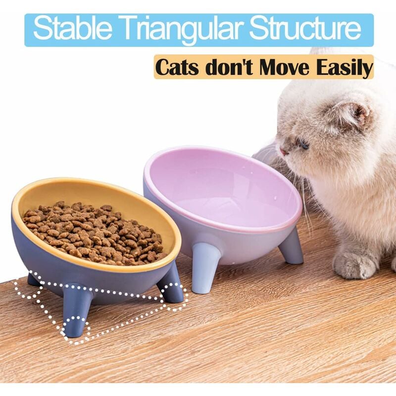 Moving cats shop food bowl