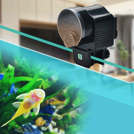 Fish tank clearance feeder timer