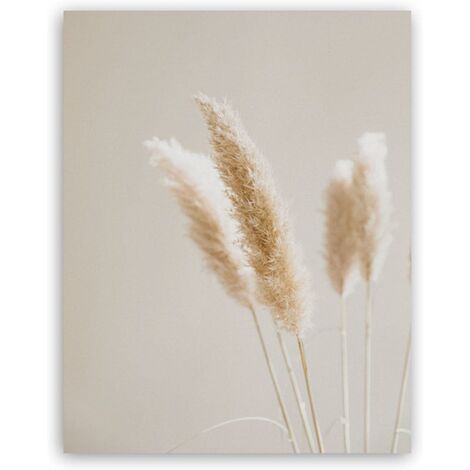 Painting Canvas Prints Pampas Grass Plants Nature Landscape Dried Grass Modern Boho Botanical Poster Gallery Pictures 30x40cm(12x16in)x3 Unframed