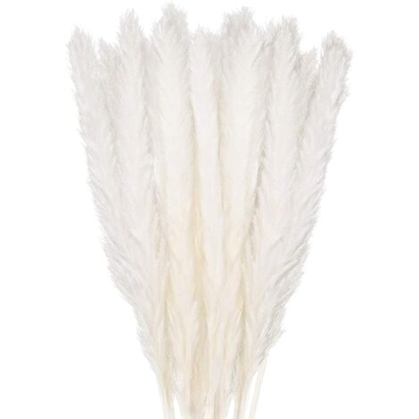 Dried Pampas Grass Decoration Set of 30, Decorative Flower Bouquet for Home Vase, Pampas Feather Grass 45cm Decorative Plant Decoration Table, Bedroom, Balcony, Wedding, Hotel, Beige（45cm）